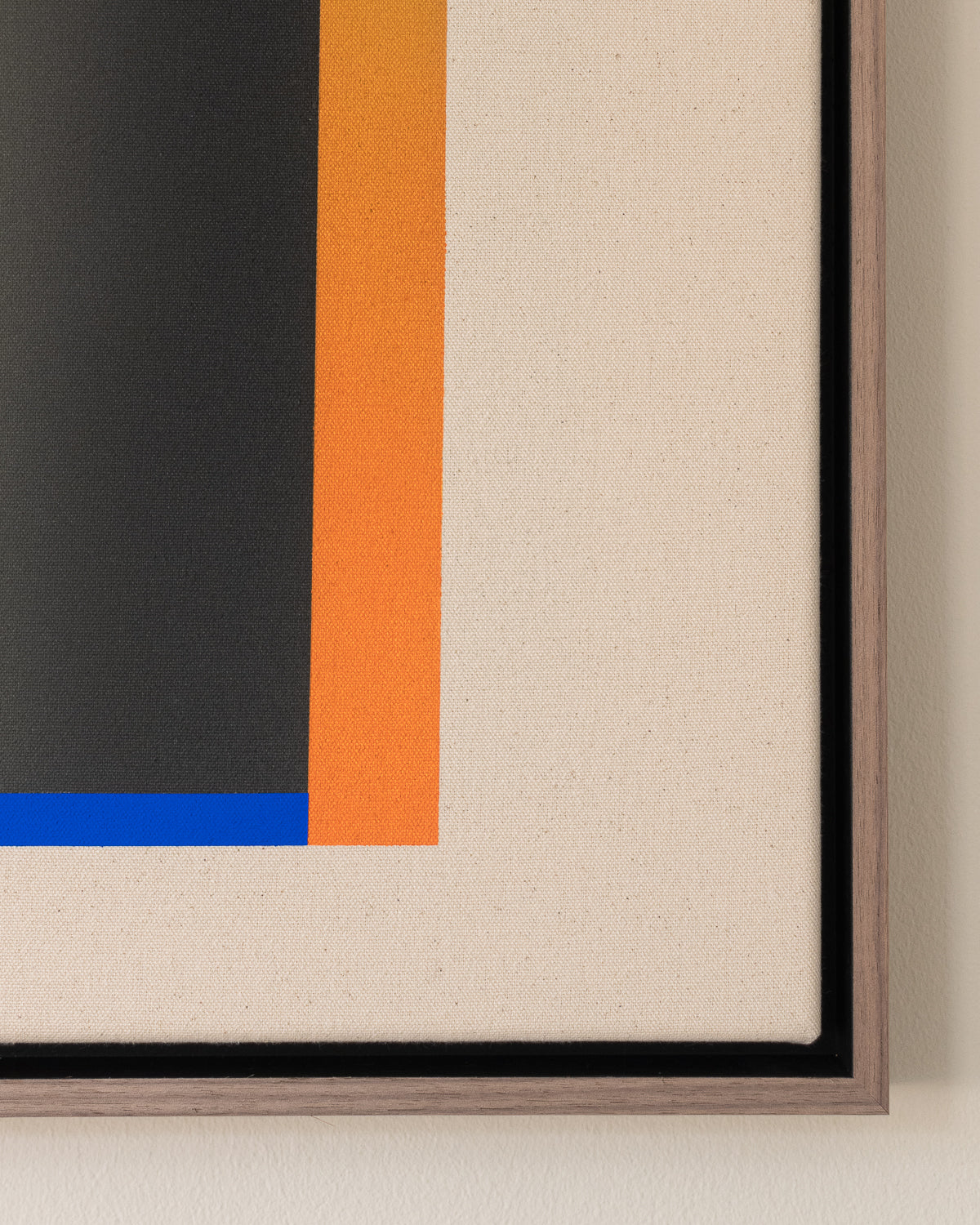 SPECTRUM N.01